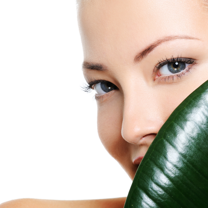 GREEN TEA ANTIOXIDANT MIST